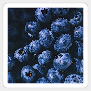 Blueberry Sticker